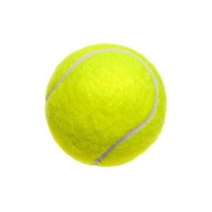 Professional Tennis Ball
