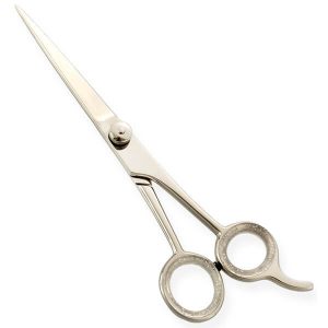 44 - Razor Edge Hair Dressing Scissors