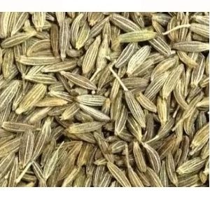 Cumin