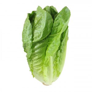 Romaine