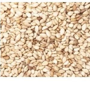 Sesame