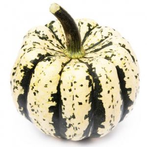 Dumpling Squash
