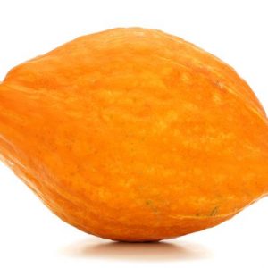Hubbard Squash