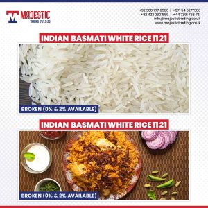 indian-basmasti-white 11 21